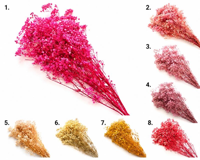 Super Floral Distributors Catalogue Image