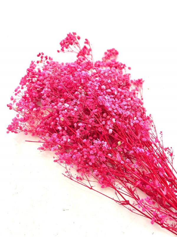 Super Floral Distributors Catalogue Image