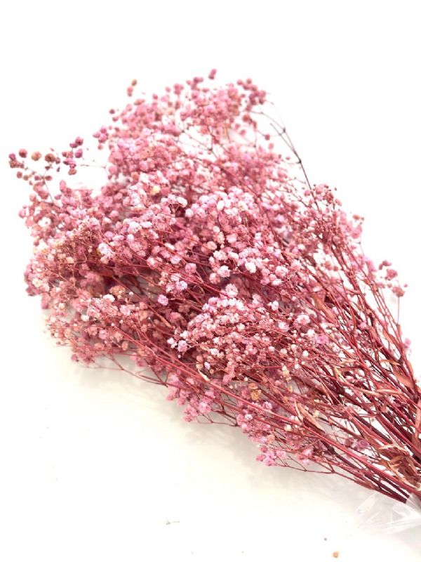 Super Floral Distributors Catalogue Image