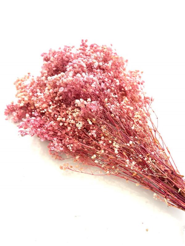Super Floral Distributors Catalogue Image