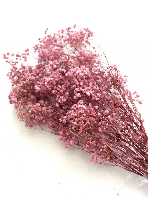 Super Floral Distributors Catalogue Image