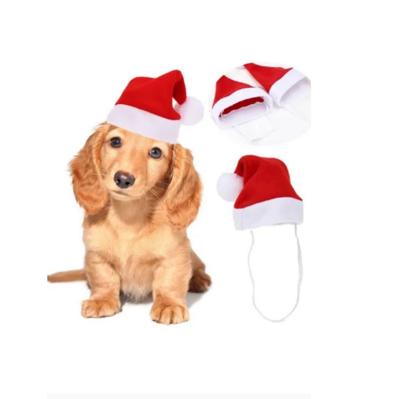 Super Floral Distributors Catalogue Image