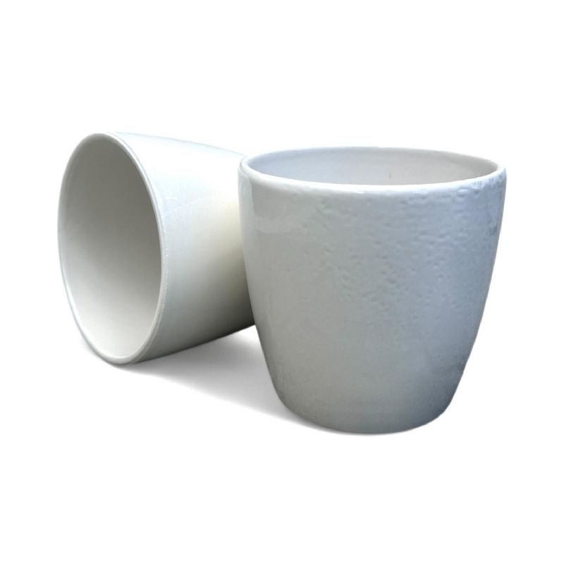 Super Floral Distributors Catalogue Image