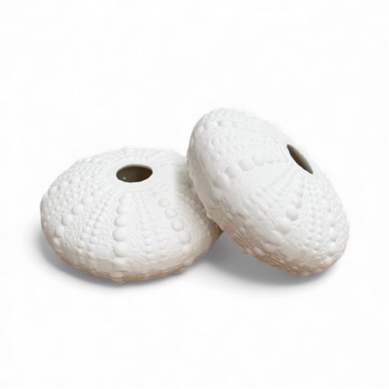 Super Floral Distributors Catalogue Image