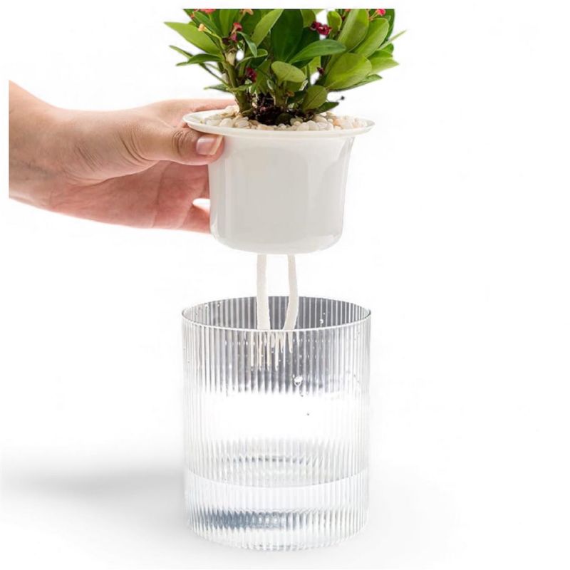 Super Floral Distributors Catalogue Image