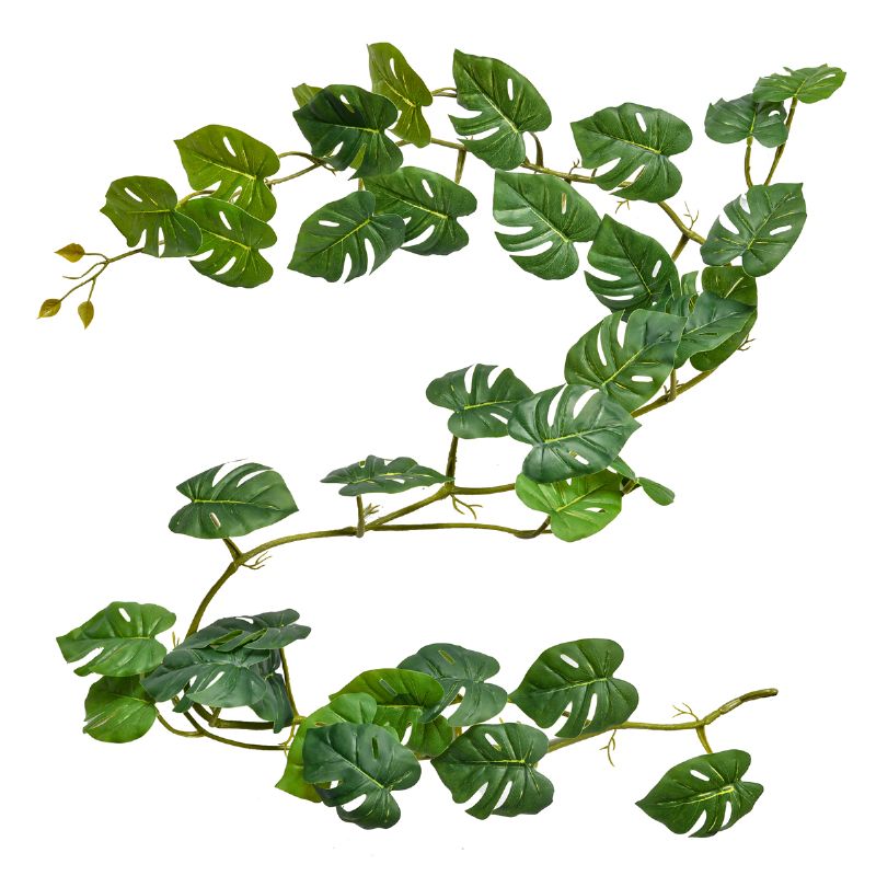 Super Floral Distributors Catalogue Image