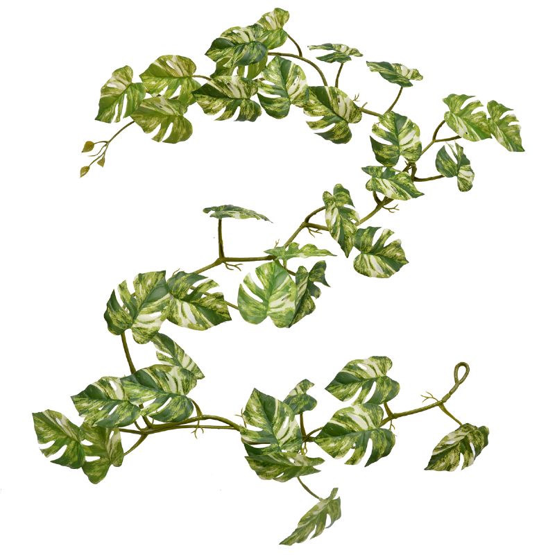 Super Floral Distributors Catalogue Image