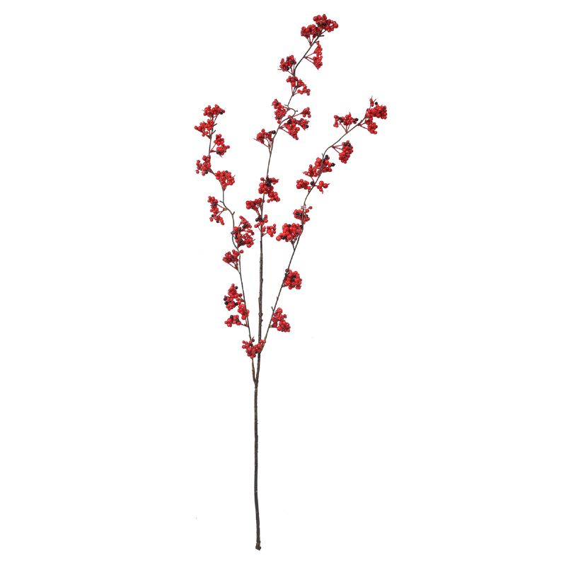 Super Floral Distributors Catalogue Image