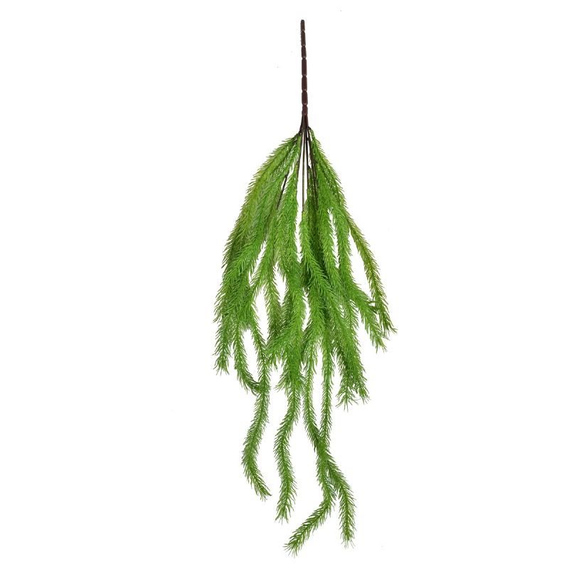 Super Floral Distributors Catalogue Image