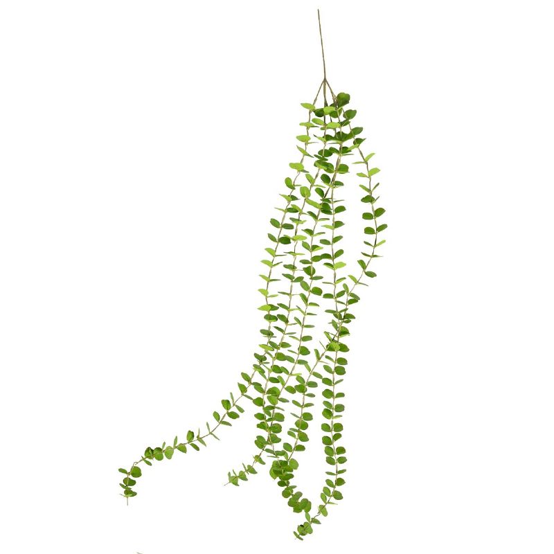 Super Floral Distributors Catalogue Image