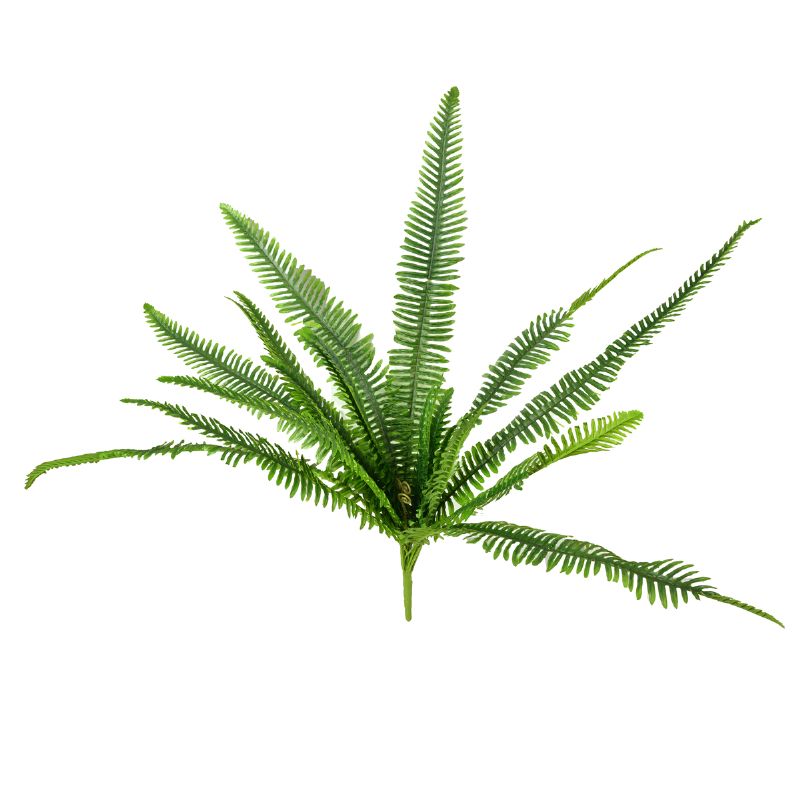 Super Floral Distributors Catalogue Image