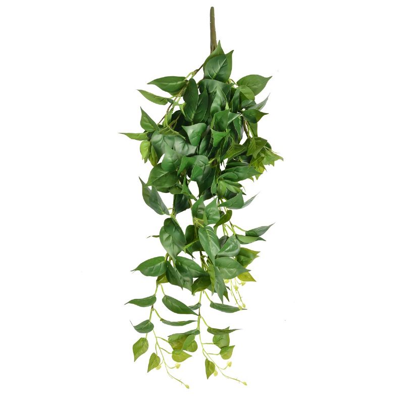 Super Floral Distributors Catalogue Image