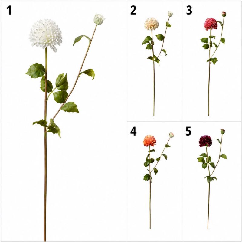 Super Floral Distributors Catalogue Image