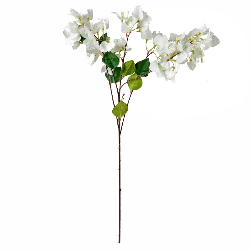 Super Floral Distributors Catalogue Image