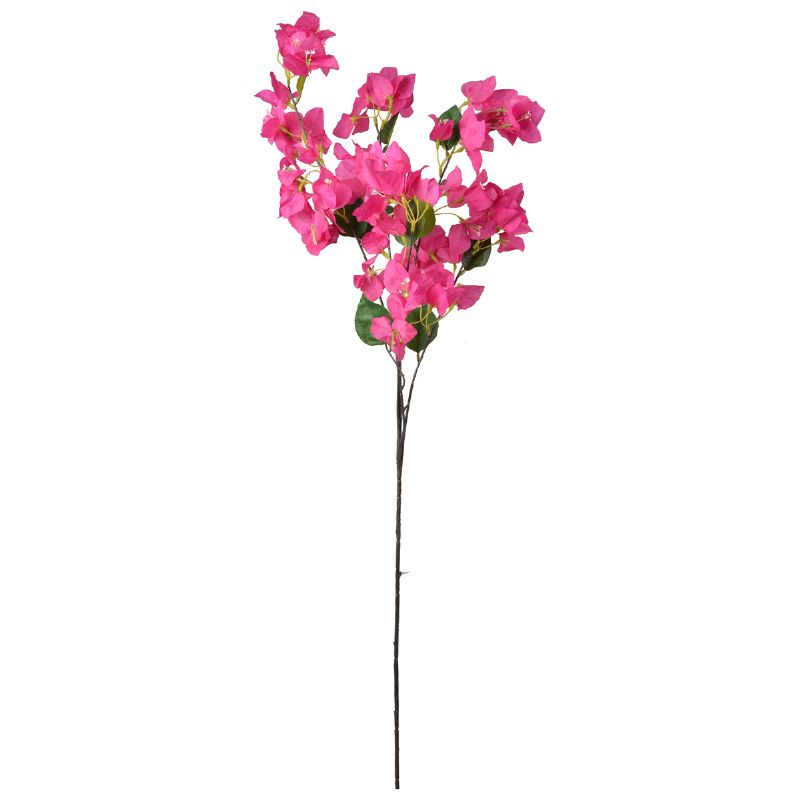 Super Floral Distributors Catalogue Image