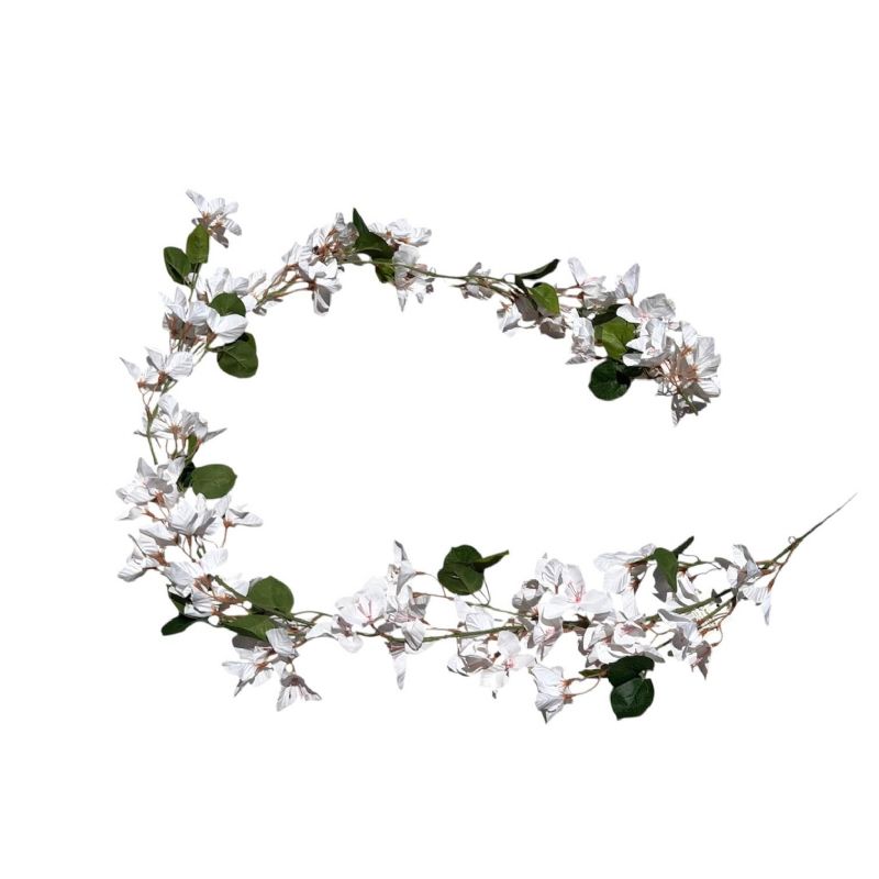 Super Floral Distributors Catalogue Image