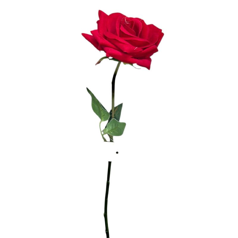 Super Floral Distributors Catalogue Image