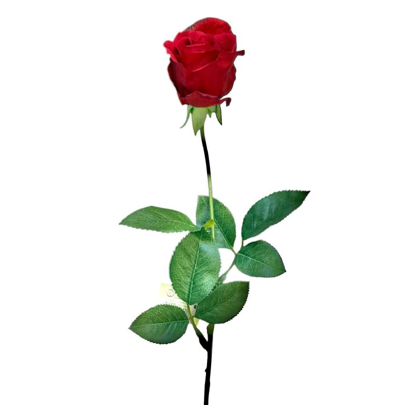 Super Floral Distributors Catalogue Image