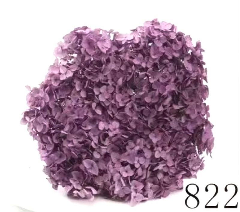 Super Floral Distributors Catalogue Image