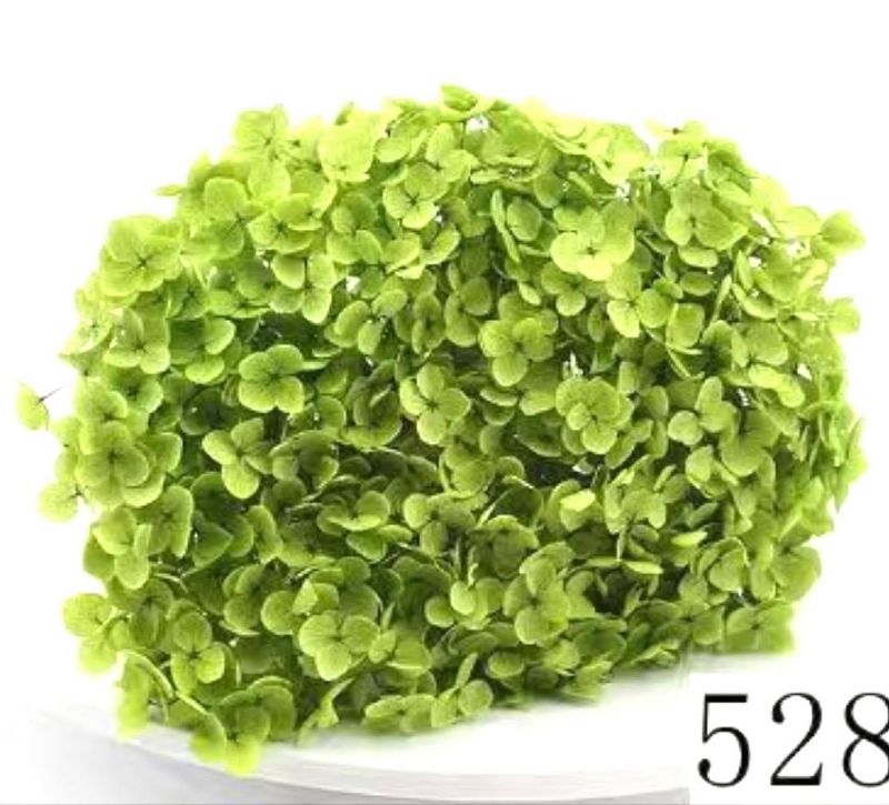 Super Floral Distributors Catalogue Image