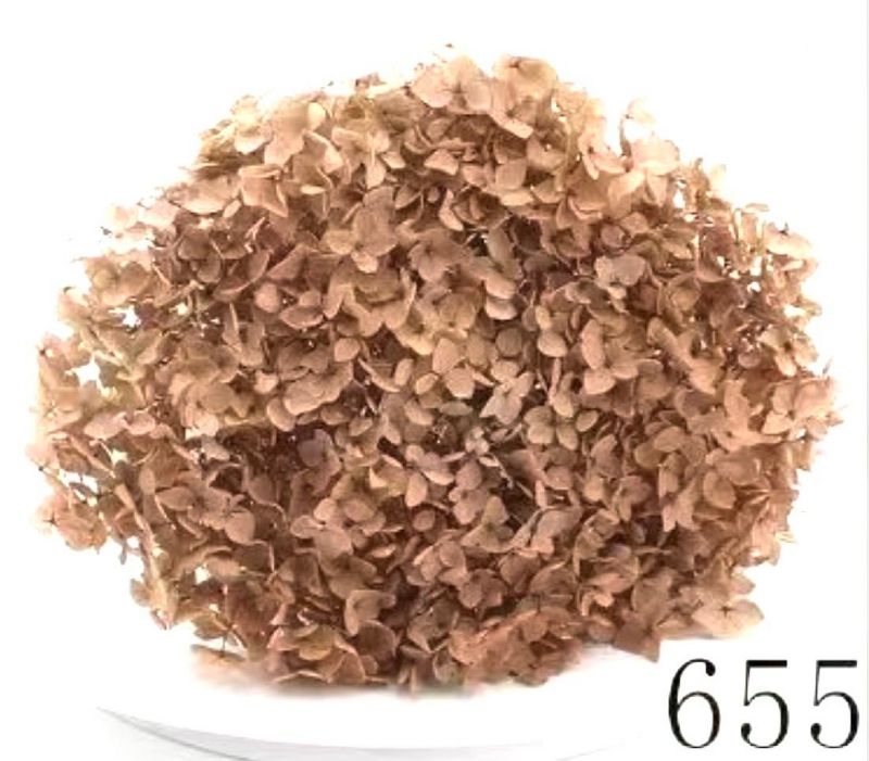 Super Floral Distributors Catalogue Image