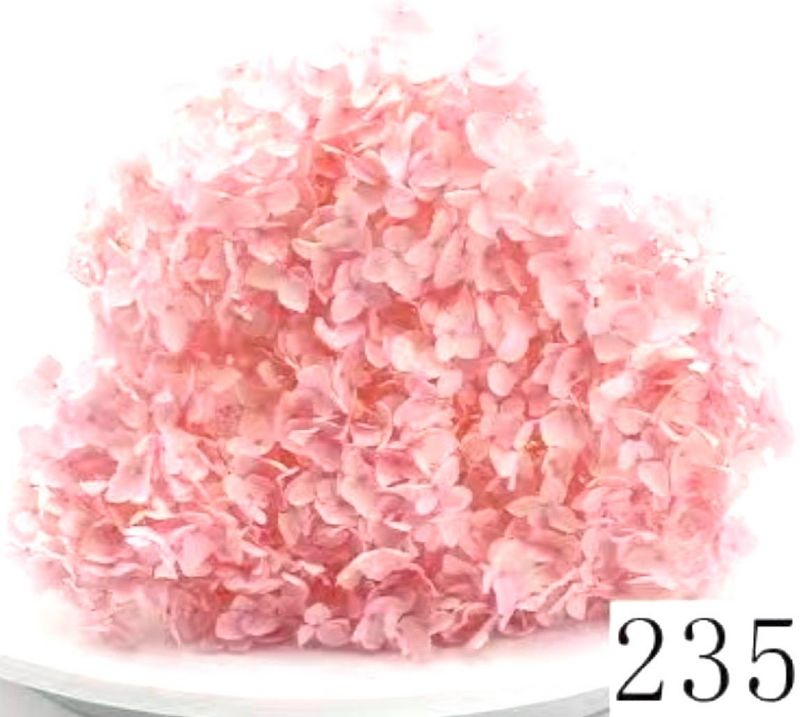 Super Floral Distributors Catalogue Image