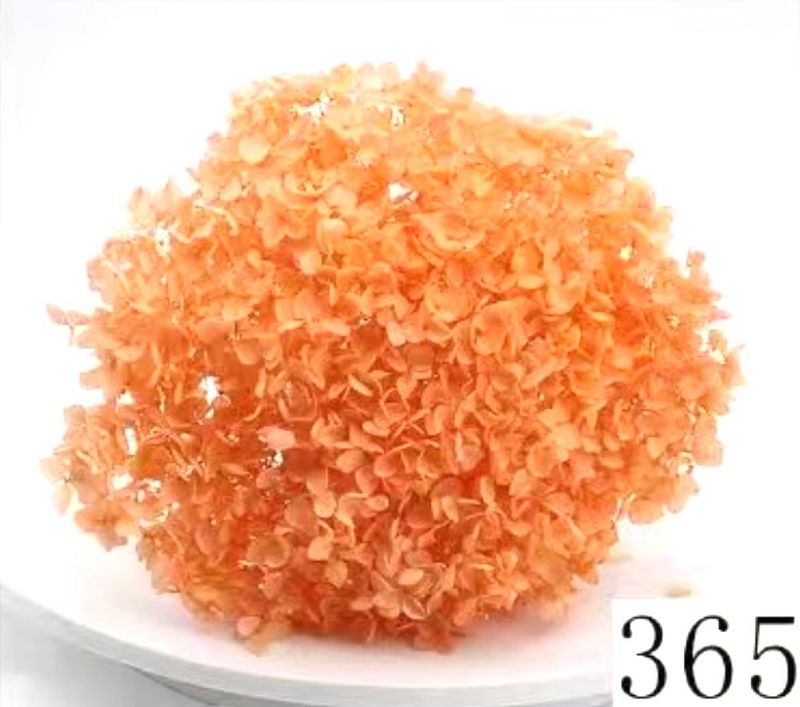 Super Floral Distributors Catalogue Image