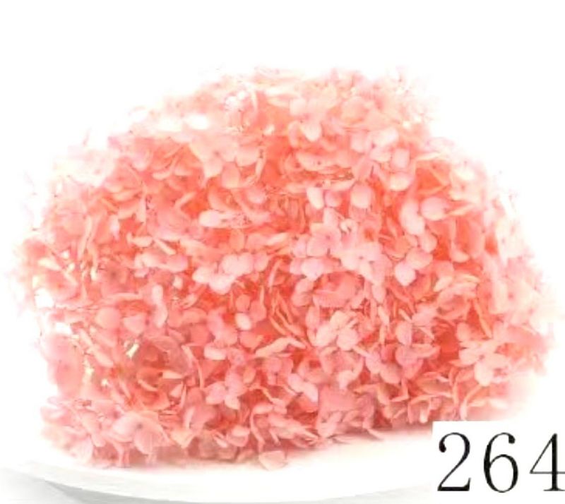 Super Floral Distributors Catalogue Image