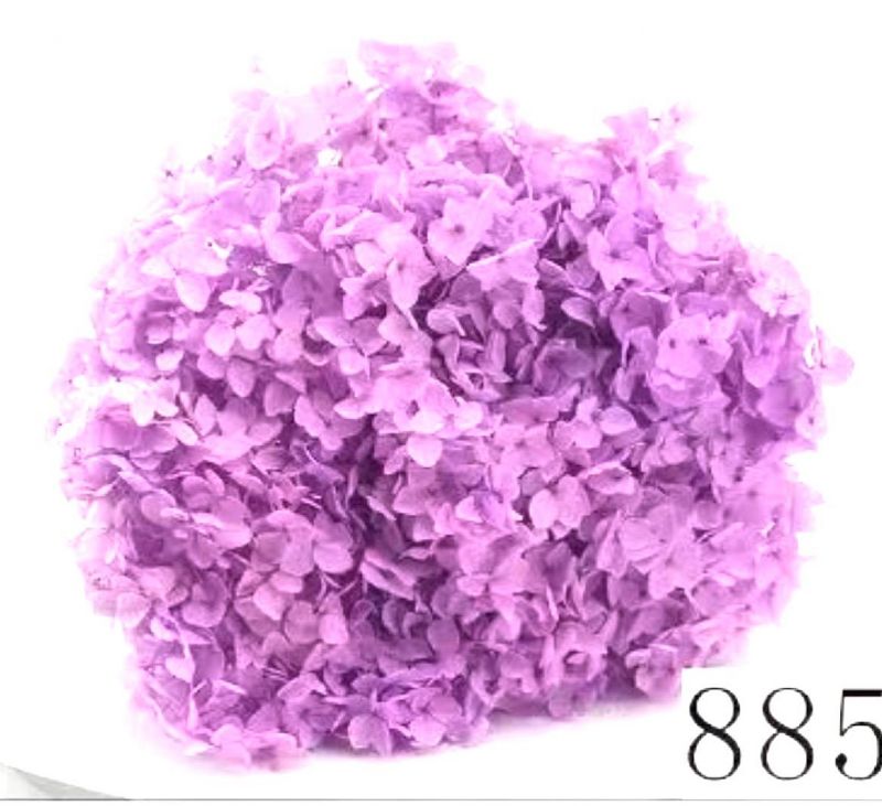 Super Floral Distributors Catalogue Image