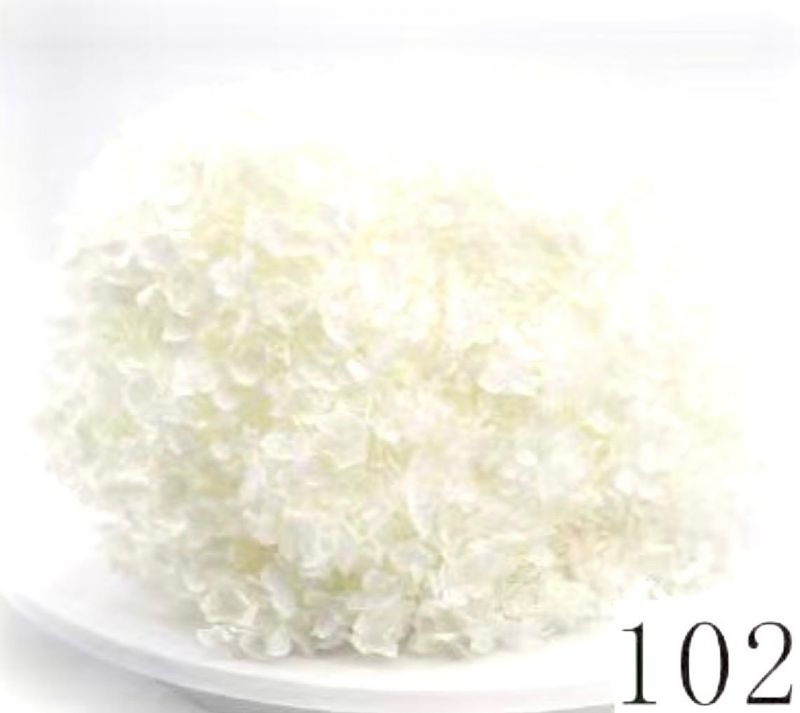 Super Floral Distributors Catalogue Image