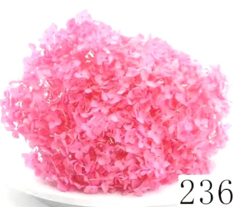 Super Floral Distributors Catalogue Image