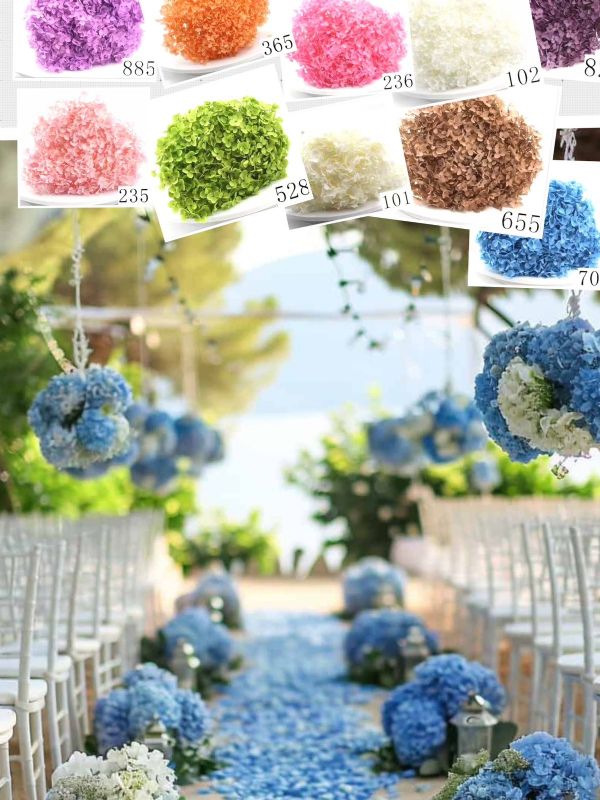 Super Floral Distributors Catalogue Image