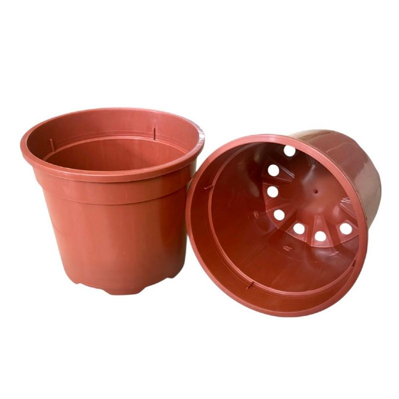 Super Floral Distributors Catalogue Image