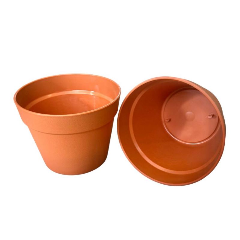 Super Floral Distributors Catalogue Image