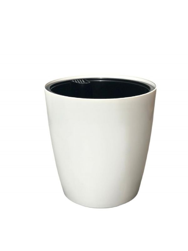 Super Floral Distributors Catalogue Image