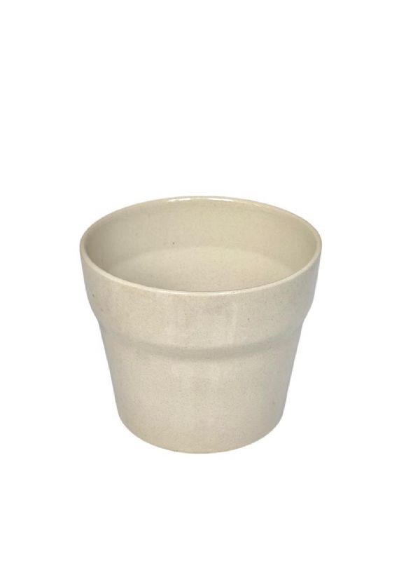 Super Floral Distributors Catalogue Image