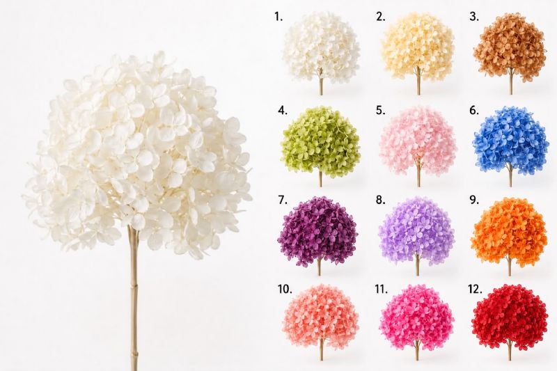Super Floral Distributors Catalogue Image