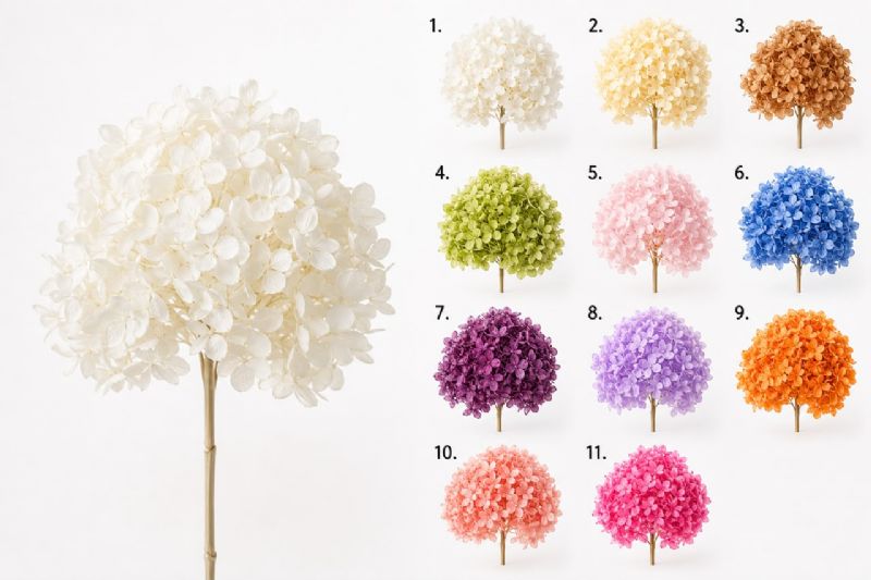 Super Floral Distributors Catalogue Image