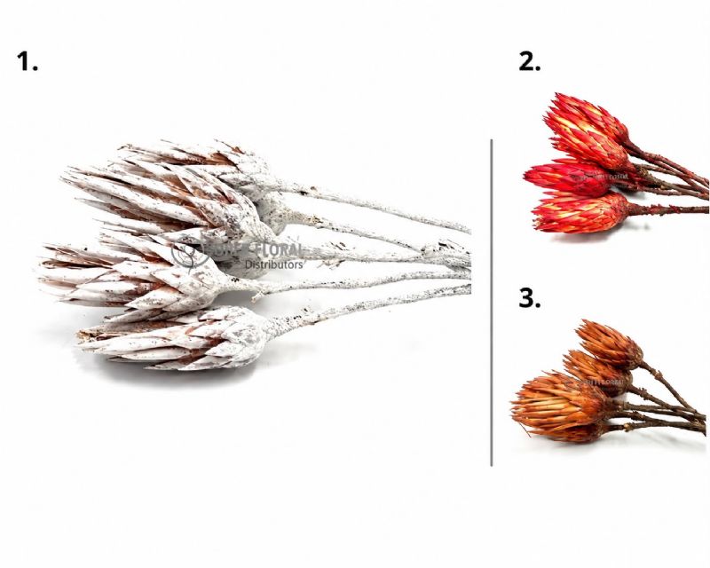 Super Floral Distributors Catalogue Image