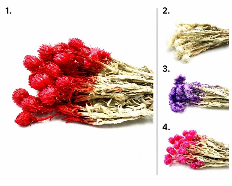Super Floral Distributors Catalogue Image