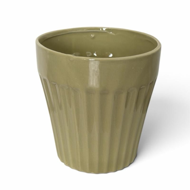 Super Floral Distributors Catalogue Image