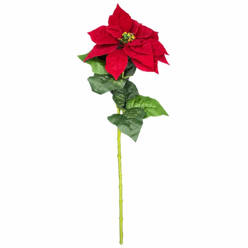 Super Floral Distributors Catalogue Image