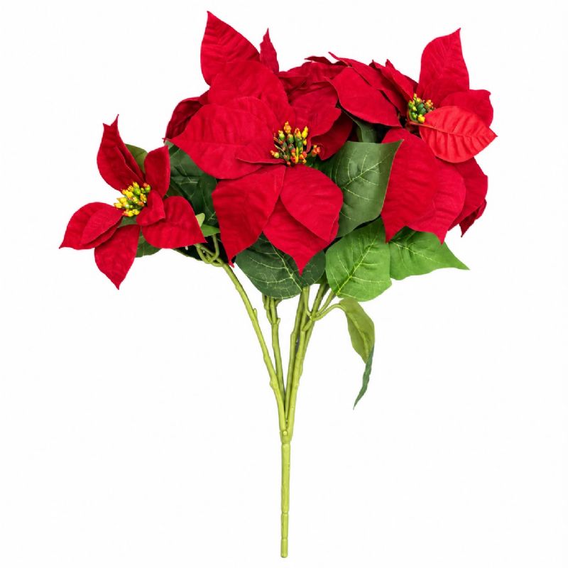 Super Floral Distributors Catalogue Image