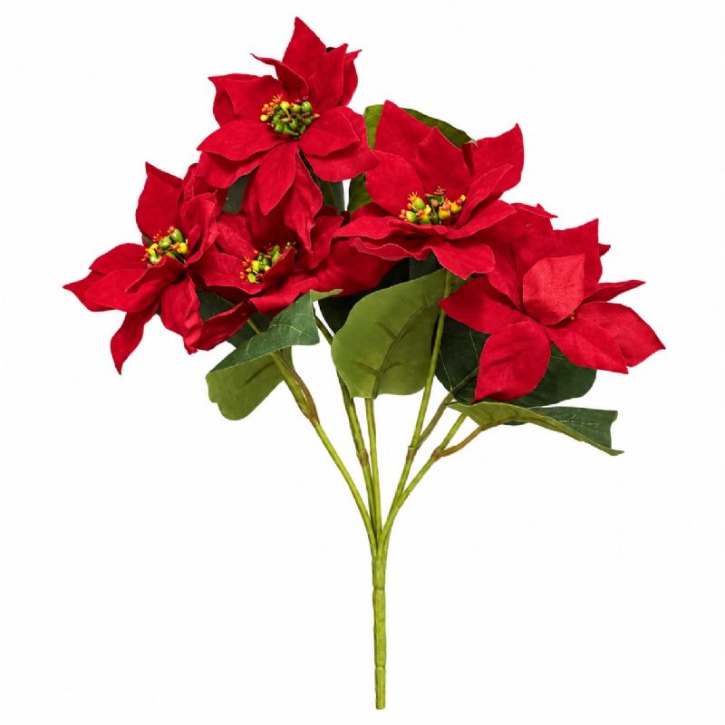 Super Floral Distributors Catalogue Image