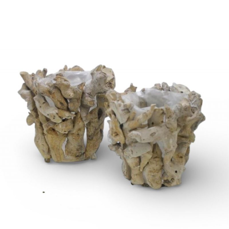 Super Floral Distributors Catalogue Image